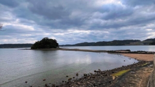 Thumbnail of post image 121